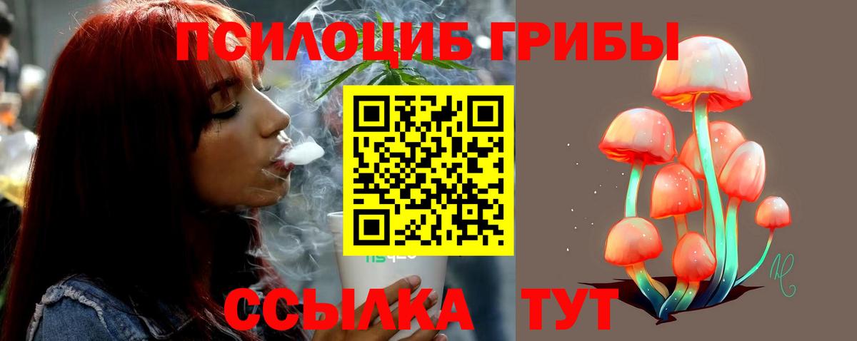 Галлюциногенные грибы мицелий Полысаево